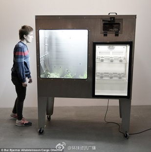 科技与味蕾的奇遇 软件开发视角下的昆虫巧克力